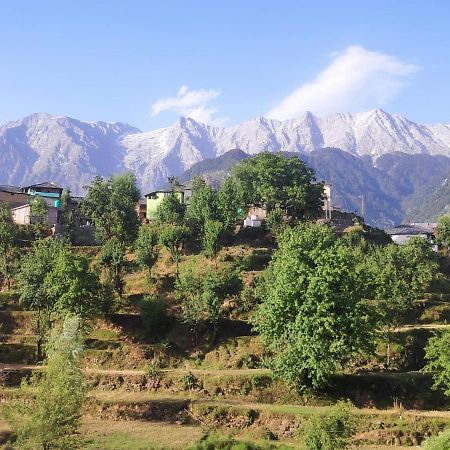Bed and Breakfast Mcleodganj Diaries Дармсала Экстерьер фото